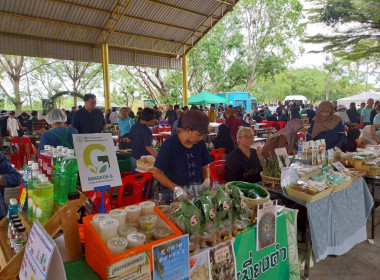 ร่วมจัดกิจกรรมคลินิกเกษตรเคลื่อนที่ ไตรมาส 3 พารามิเตอร์รูปภาพ 2